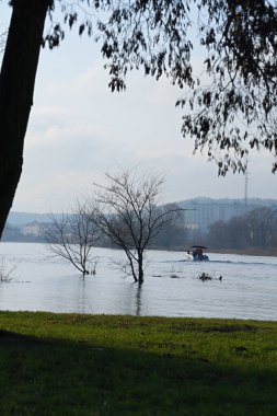 Gorzow Wielkopolski, Polonya, 02.10.2024. Sahilleri taşan bir nehir ve suda bir tekne manzarası.