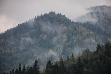 Snow-covered pine trees crown the slope while the lower forest remains in muted autumn shades.