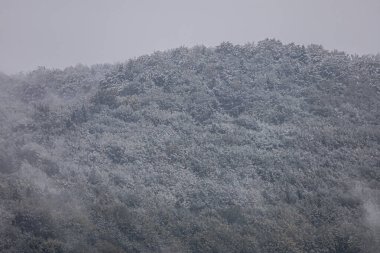 Forest peaks fade into white mist beneath a cloudy sky.