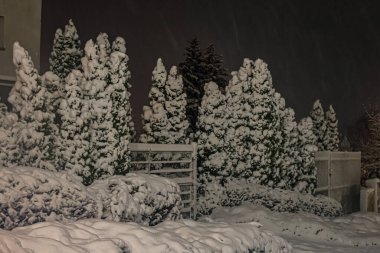 Kış manzarası ağaçlar, çalılar ve beyaz çitlerle kaplı. Sokak fenerleri, karanlık gece gökyüzünün altında kar dokusu ve hacmi vurgular..