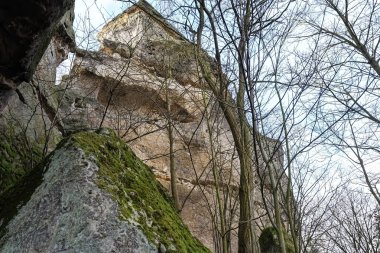 Geniş, yosun kaplı kayaların alçak açılı görüntüsü ve solgun bir gökyüzünün altında yapraksız ağaçların olduğu bir ormanın ortasında yükselen kaya oluşumları.
