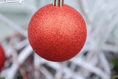 Beyaz dalların yumuşak, bulanık arkaplanı ve yeşil dalların ipuçlarına karşı odaklanan tek, parlak kırmızı bir takı.