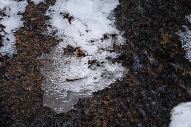 Karmaşık buz kalıpları sığ bir akarsuyun kenarında oluşur, karanlık su çakıl taşları ve düşen yaprakların üzerinden akar.