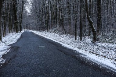 Yalnız bir asfalt yol, sık bir ormanlık alanda kaybolur. Taze karla kaplanmış, sessiz bir yalnızlık ve mevsimin soğuğu hissi uyandırır.