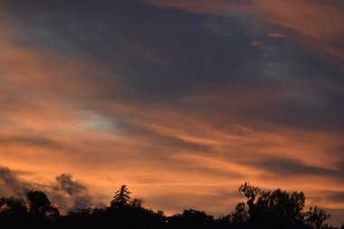 Ufukta parlak turuncu ve yumuşak gri bulutlarla manzara akşam batımı. Atmosferik manzara arka plan, tasarım, reklam ve ilham için mükemmel..