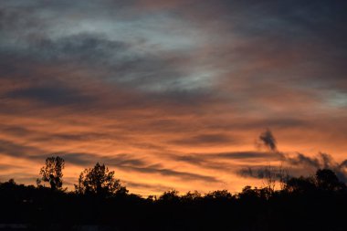 Günbatımı gökyüzü parlak turuncu ve sarıdan yukarıdaki grimsi maviye doğru bir eğim gösteriyor. Gökte seyrek bulutlar süzülür, ufukta ağaç siluetleri vardır. Huzurlu ve tasasız akşam atmosferi.