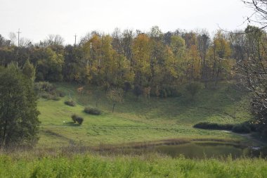 Ön plandaki küçük gölet çim tepenin etrafını sarmış dolambaçlı yollar ve dağınık bitkiler huzur ve uyum hissi yaratıyor.