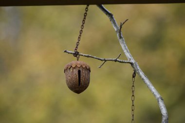 Nesne, yumuşak bulanık bir arka planı olan bir dala tutunur ve bir doku ve sakinlik hissi yaratır.