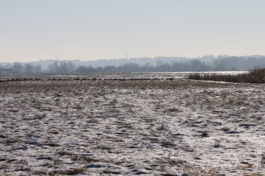 Uçsuz bucaksız, kar ve kuru otlarla kaplı bir arazi ufuktaki bulanık şehir manzarasına doğru uzanıyor.