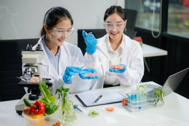 Two Asian scientists in a lab conducting food research using a microscope and lab equipment, showcasing innovation in food science and biotechnology