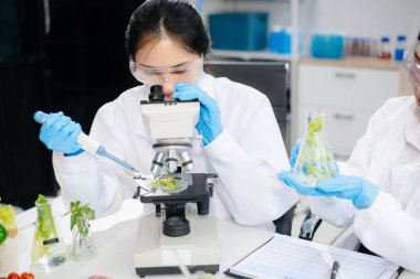 Bir laboratuarda mikroskop ve laboratuvar ekipmanları kullanarak gıda araştırması yapan iki Asyalı bilim adamı, gıda bilimi ve biyoteknoloji alanında yenilik sergiliyor.