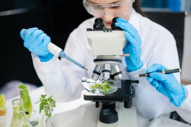 Laboratuvar önlüklü gıda bilimcileri, numuneleri test ediyorlar ve modern bir laboratuvar ortamında gıda güvenliğini ve kalitesini analiz ediyorlar..