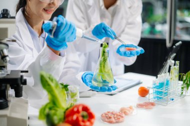 Laboratuvar önlüklü gıda bilimcileri, numuneleri test ediyorlar ve modern bir laboratuvar ortamında gıda güvenliğini ve kalitesini analiz ediyorlar..