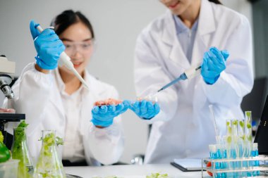 Laboratuvar önlüklü gıda bilimcileri, numuneleri test ediyorlar ve modern bir laboratuvar ortamında gıda güvenliğini ve kalitesini analiz ediyorlar..