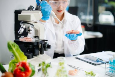 Laboratuvar önlüklü gıda bilimcileri, numuneleri test ediyorlar ve modern bir laboratuvar ortamında gıda güvenliğini ve kalitesini analiz ediyorlar..