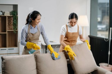 Dinamik temizlik ikilimizle verimli ve profesyonel ev idaresi. Mükemmel takım çalışması her evde lekesiz temizlik sağlar.