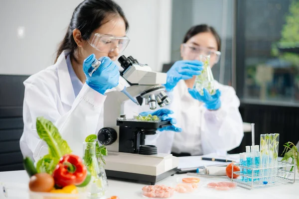 Bir laboratuarda mikroskop ve laboratuvar ekipmanları kullanarak gıda araştırması yapan iki Asyalı bilim adamı, gıda bilimi ve biyoteknoloji alanında yenilik sergiliyor.
