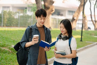 İki zeki Asyalı üniversite öğrencisi okul projesine odaklanmış, dizüstü bilgisayara ve tablete bakıyor, kampüs parkında birlikte çalışıyor ve tartışıyorlar.