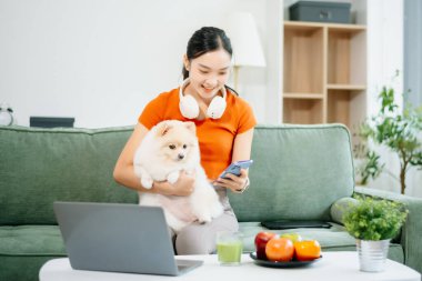 Kanepede oturan genç bir kadın evinde şirin beyaz bir köpek yavrusuyla dizüstü bilgisayar kullanıyor. Konforlu modern oturma odası