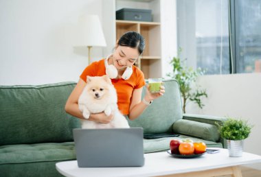 Kanepede oturan genç bir kadın evinde şirin beyaz bir köpek yavrusuyla dizüstü bilgisayar kullanıyor. Konforlu modern oturma odası