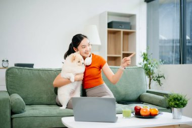 Kanepede oturan genç bir kadın evinde şirin beyaz bir köpek yavrusuyla dizüstü bilgisayar kullanıyor. Konforlu modern oturma odası