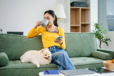 Kanepede oturan genç bir kadın evinde şirin beyaz bir köpek yavrusuyla dizüstü bilgisayar kullanıyor. Konforlu modern oturma odası uzak çalışma, neşeli evcil hayvan anları