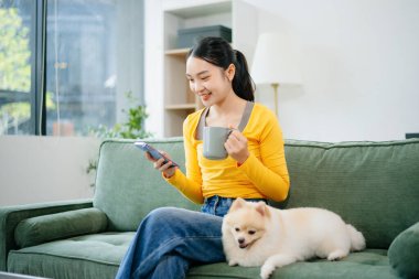 Kanepede oturan genç bir kadın evinde şirin beyaz bir köpek yavrusuyla dizüstü bilgisayar kullanıyor. Konforlu modern oturma odası uzak çalışma, neşeli evcil hayvan anları