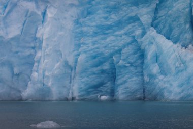 Qalerallit Sermia fiyortu, Grönland 'daki buzdağları ve buzdağlarıyla 2025 Ağustos' unda