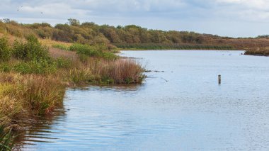 Northumberland Coastline, Hauxley, East Chevington, Druridge ve Cresswell Havuzlarının Druridge Körfezi civarındaki doğal rezervler.. 