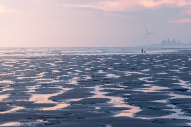 Northumberland, Kambois Sahili üzerinde sessiz bir gündoğumu, Ocak 2026