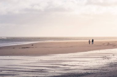 Druridge Bay, Northumberland 'da Güneşli Kış Günü Yürüyüşü, Şubat 2026