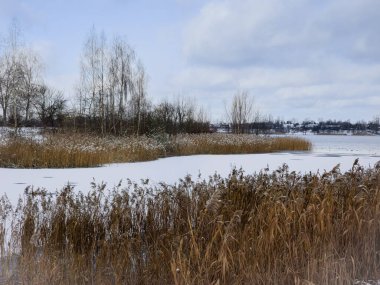 Dbrowa Grnicza, Polonya 'da Reed Çimenli Donmuş Göl