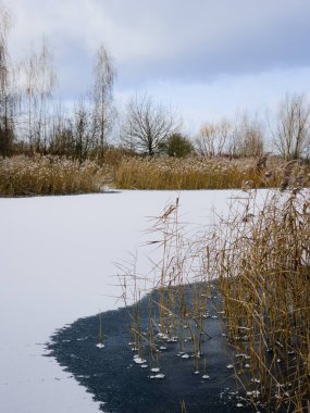 Pogoria Gölü, Polonya 'da Donmuş Sazlıklar ve Buzlu Yama
