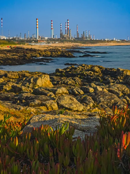 4 Ağustos 2025 'te Portekiz' de Praia do Paraiso plajından görülen Atlantik kıyısı boyunca uzanan endüstriyel rafineri kompleksi