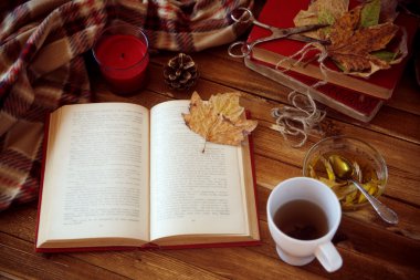 sonbahar akşamları bir kitap okuma