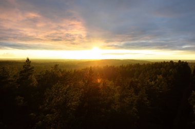 Yoğun kozalaklı bir ormanın yüksek açılı panoramik görüntüsü. Parlak bir günbatımının dramatik, sıcak parıltısı ve geniş bir bulut manzarasıyla yıkanmış..