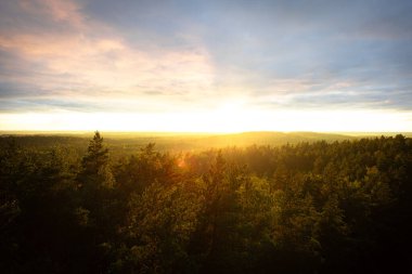 Yoğun kozalaklı bir ormanın yüksek açılı panoramik görüntüsü. Parlak bir günbatımının dramatik, sıcak parıltısı ve geniş bir bulut manzarasıyla yıkanmış..