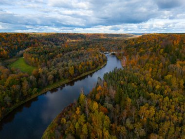 Güz Ormanı 'nda, verimli bir sonbahar yeşillikleriyle dolu verimli bir ormanda kıvrılan mavi bir nehrin, whigh açılı drone görüntüsü.