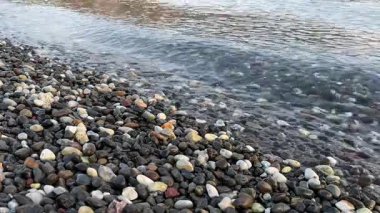 Gün doğumunda rengarenk çakıl taşlarının üzerinde hafif sabah dalgaları. Sakin ve huzurlu deniz sahnesi. Suda hafif dalgalar ve yansımalar var. Rahatlama ve meditasyon için mükemmel.