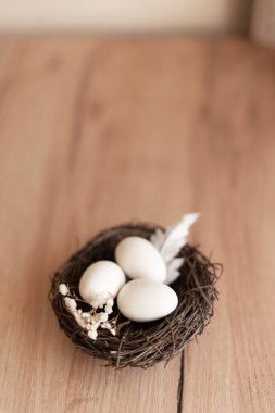 Küçük kuşlar üç beyaz yumurtayla yuva yapar. Yumuşak doğal ışık ve sığ alan derinliği olan ahşap bir yüzeyde kurumuş tüylü çiçekler. Kırsal Ahşap Arkaplanda Üç Beyaz Yumurtalı Kuş Yuvası