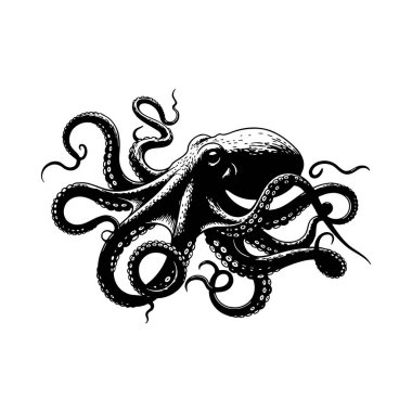 elle çizilmiş ahtapot vektör