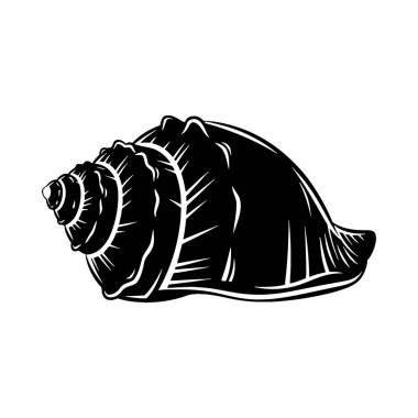 İzole edilmiş bir deniz kaplumbağasının vektör çizimi. Siyah ve beyaz çizimler. deniz yaşamı.