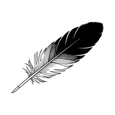 Siyah tüy beyaz arka planda izole edilmiş. vektör