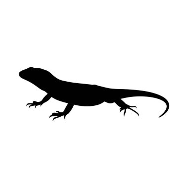 Kertenkele simgesi, basit tarzı