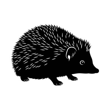 Beyaz arka planda kirpi silueti