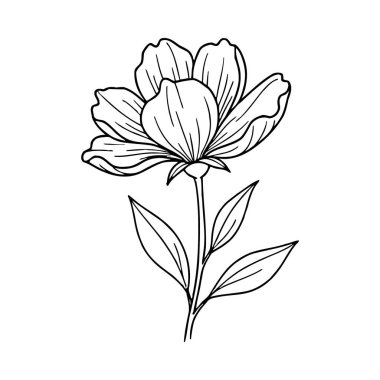 vector illustration, flower, decorative flower, hand - drawn