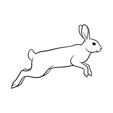 sevimli küçük tavşan karakter