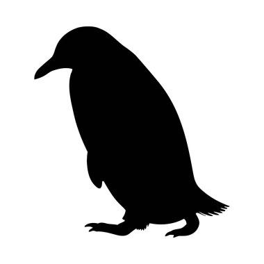 Siyah bir karga silueti.