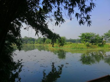 Ağaçlı ve mavi gökyüzü olan bir göl, doğal çevreyi yansıtıyor. Net detaylar ve canlı renkler görsel cazibeyi artırır.