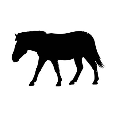 Siyah at silueti. Beyaz arka planda izole edilmiş. vektör illüstrasyonu.